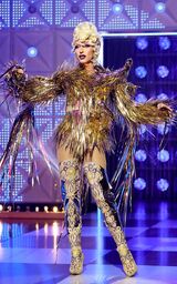 Eleganza Extravaganza Look