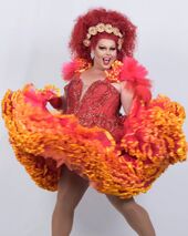 Finale Look