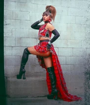 Unaired Grunge and Glamour Look