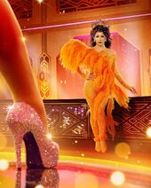 Guest Judge Look
