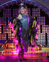 Mi Tierra Look