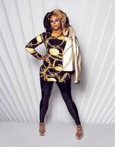 Promo/Adoption Look