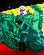 Alfombra Roja Look