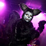 Unaired Halloween Look – The Human Cat