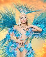 Alternate Promo