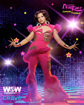 Promo Look