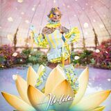 Mini Promo