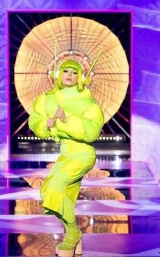 DakotaNeonNightsLook