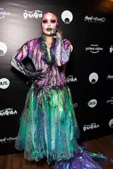 Premiere Look
