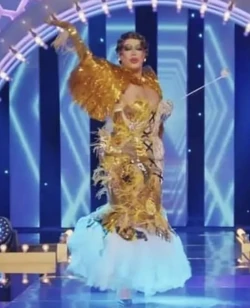 SuculentaDRMX2GlamourDeFinalLook