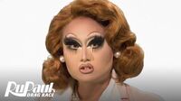 Shady Politics Vote Kim Chi