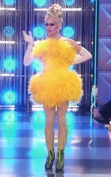 Prato Fiorito Look