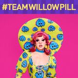 TeamWillowPillS14