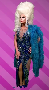 Big Hair Everywhere Look