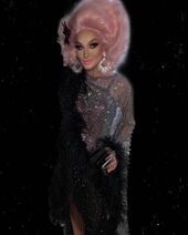 Guest Judge Look