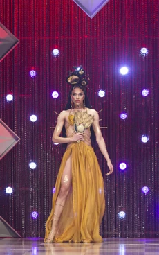 MissFiercaliciousGoddessLook