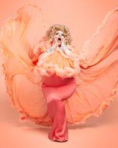 Promo Look