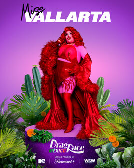 MissVallarta