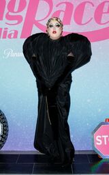 Premiere Look