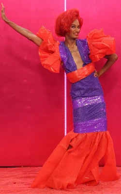 AngeriaParisVanMichealsBubbleWrapLook