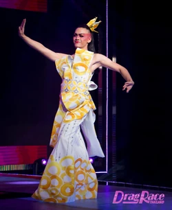 AmadivaCurtainLook