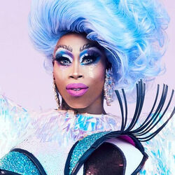 All stars 2 variety show cheap