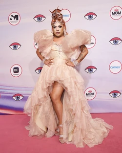 JobStarLMD5PinkCarpetLook