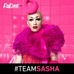 TeamSashaS9