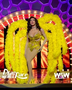 LeexaFoxDRMX2YellowLook