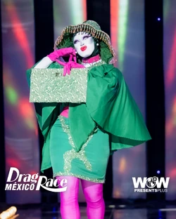 IgnusArsDRMX2FrockLook