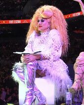 Guest Judge Look