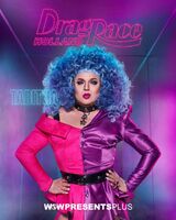 Mini Promo