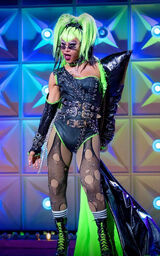 Drag Excellence Look