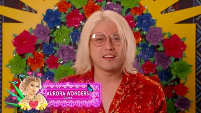 AuroraWondersConfessionalLook