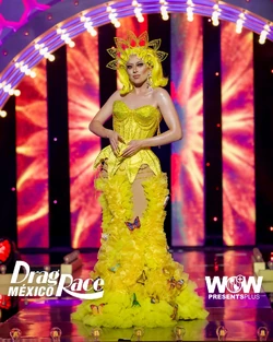 JenaryBloomDRMX2YellowLook