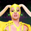 Lemon 2536
