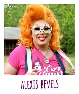 Polaroid-alexis-bevels
