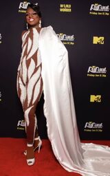 Premiere Look
