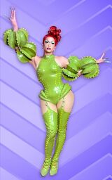 Look de la alfombra roja