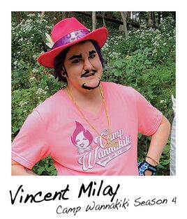 Polaroid-vincent-milay