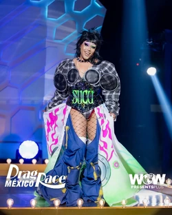 SuculentaDRMX2HometownLook