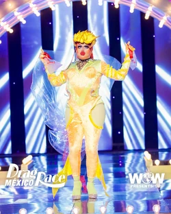 SuculentaDRMX2FairPrizesLook