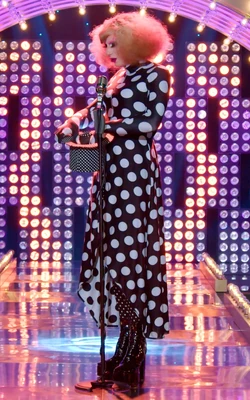 BetinaPolaroidDragShadeBrasilLook