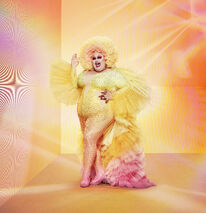Promo Look
