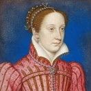 María I de Escocia Rosé (DR13)