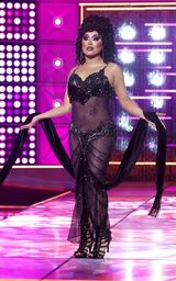 Everything Every-Cher All at Once Look