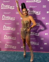 Premiere Look