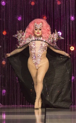 KittenKaboodleGemstonesLook