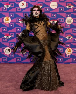 RebelMörkLMD4PurpleCarpet