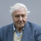 David Attenborough Sum Ting Wong (UK1)